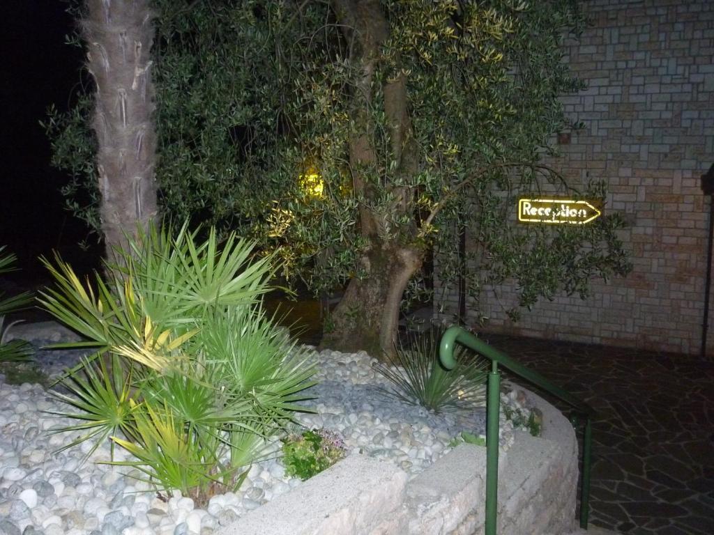 Residence Hotel Maxi Limone sul Garda Kültér fotó